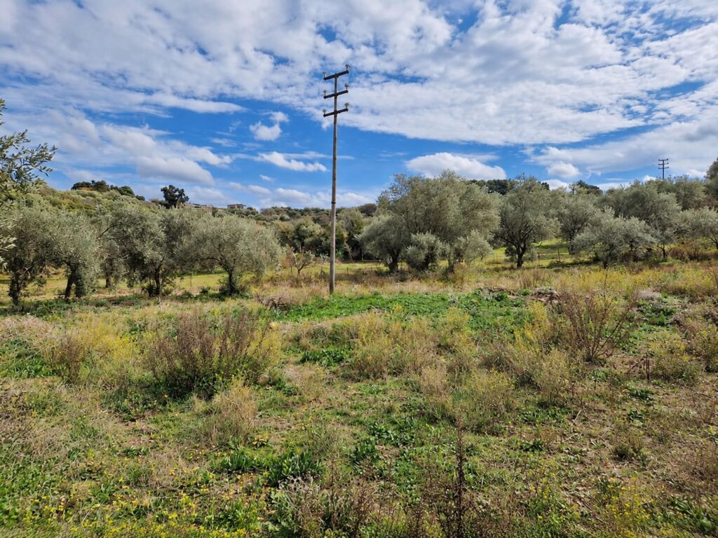 Terreno commerciale c.da Porticatazzo