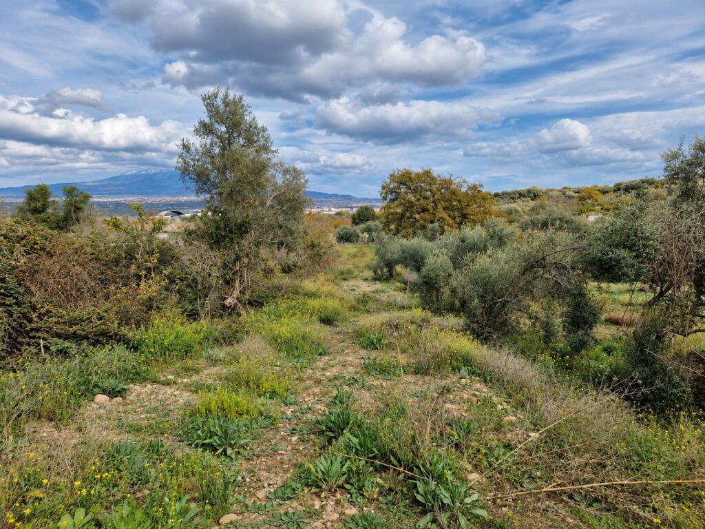 Terreno commerciale c.da Porticatazzo